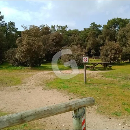 Maison Familiale Proche Avec Jardin Et Parking à - Fr-1-357-32 *